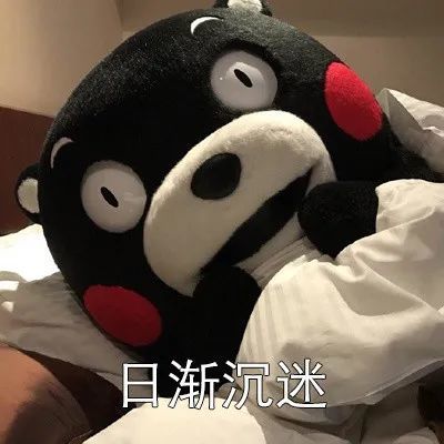 熊本熊表情包看完你想到了谁