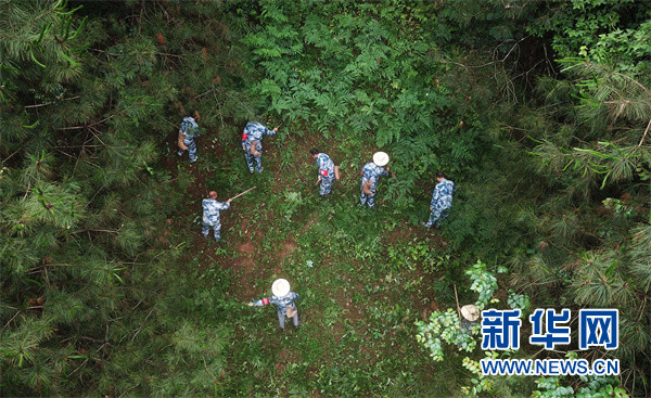 各地海事部门保障重要物资水路运输安全畅通