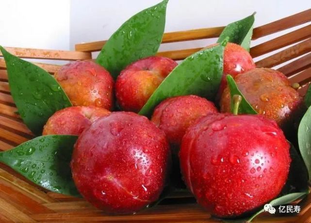 吃李子有5大好处!居然好多人都不知道