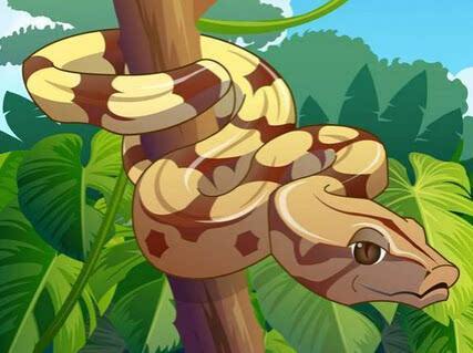 50斤网纹蟒现身深圳工业园,在野外遇到巨型蟒蛇,该如何逃生?