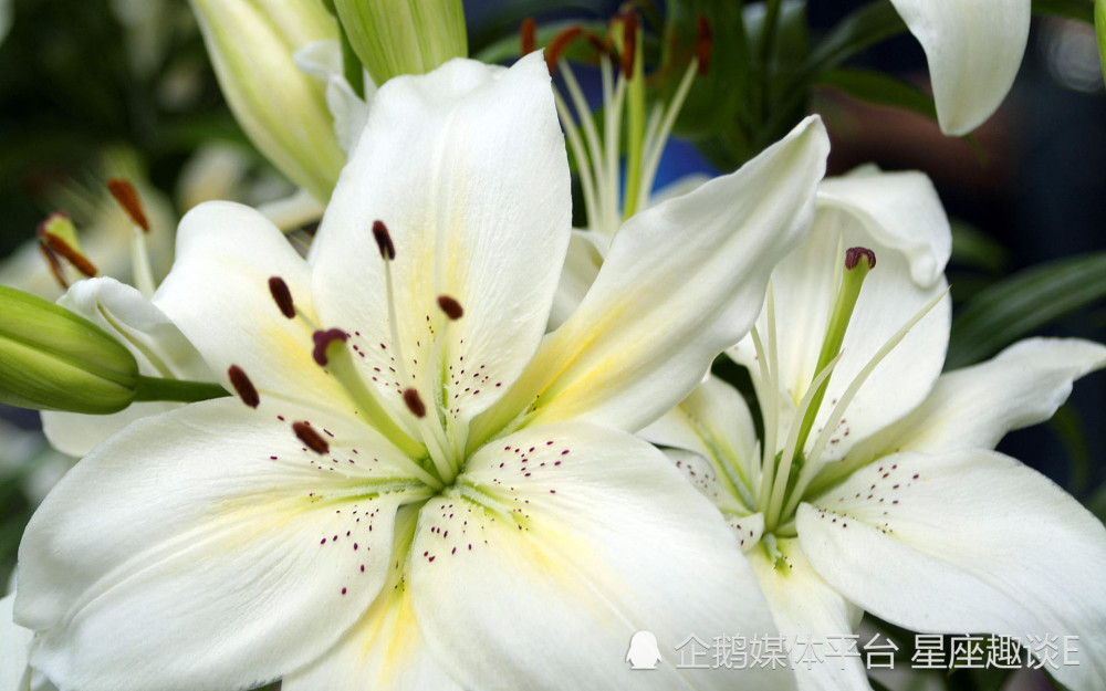 4月25日 5月1日愛情運勢 桃花漸開 珠聯璧合的四大星座 天天看點