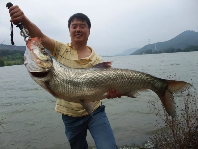 钓一次鱼要用十几斤玉米野钓翘嘴鱼窝料不在多打窝节奏很关键