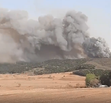 沈阳抚顺铁岭交界处发生山火,风力达11级,过火面积上千亩!