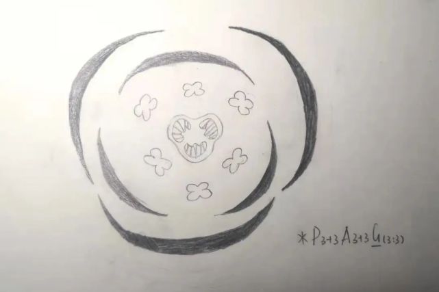 当玉兰花遇到花程式赏花的最高段位竟然是