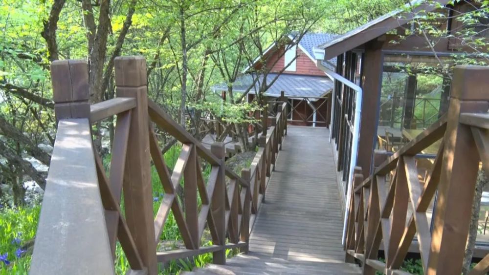 佛坪县岳坝镇岳坝村举行采风写生基地授牌仪式_腾讯新闻