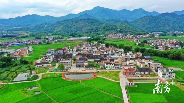 开展路域环境整治行动,为乡村振兴再添彩|乡村振兴|阳山县|七拱镇