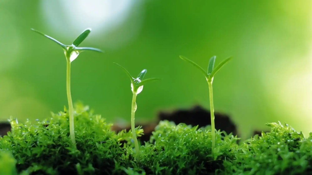 长期主义的思维罗振字曾说过:"任何一个人,不管你的能量强弱,放眼足够