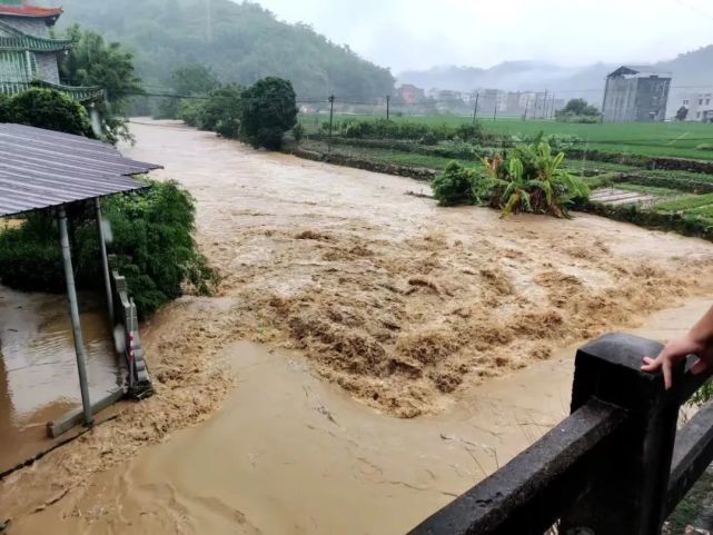 茂名信宜多地突发洪水,现场直击