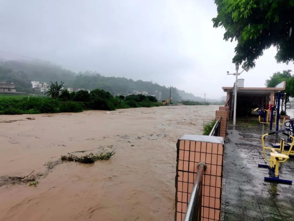 大暴雨茂名信宜多地突发洪水现场直击