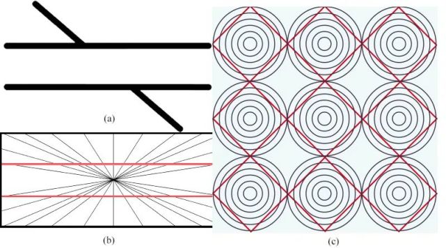 五花八門視錯覺,研究它們有啥用?