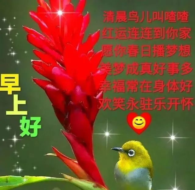 9张特有创意春日清晨早上好祝福图片带字温馨免打字朋友圈早安问候