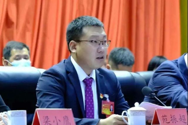 去年4月份开始主持县政府工作,12月当选台安县县长的苑振超,顺位接任