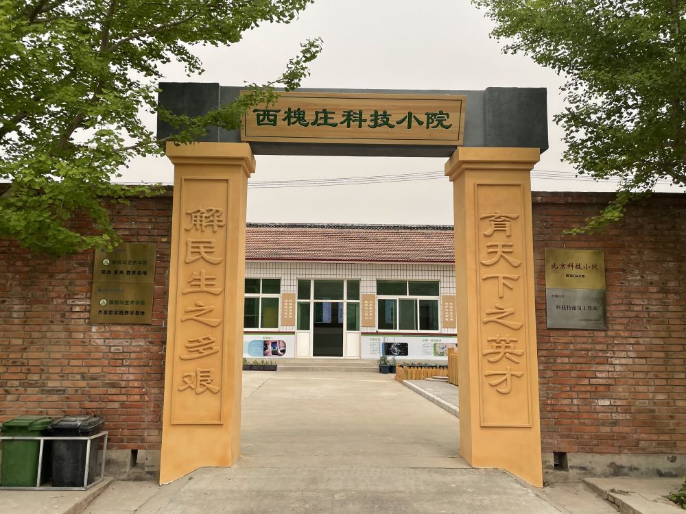 通州西槐庄科技小院这里的番茄怎么那么好吃