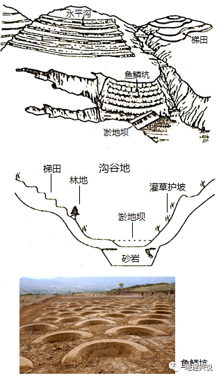 高考地理小专题—打坝淤地_腾讯新闻