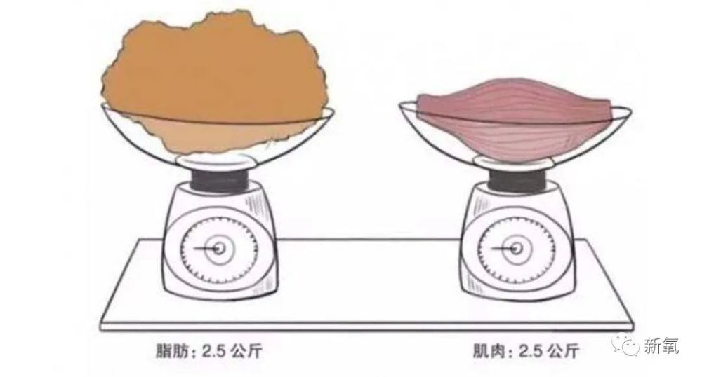 姐妹早茶铺｜不想当皇后的夏冬春不是颖儿