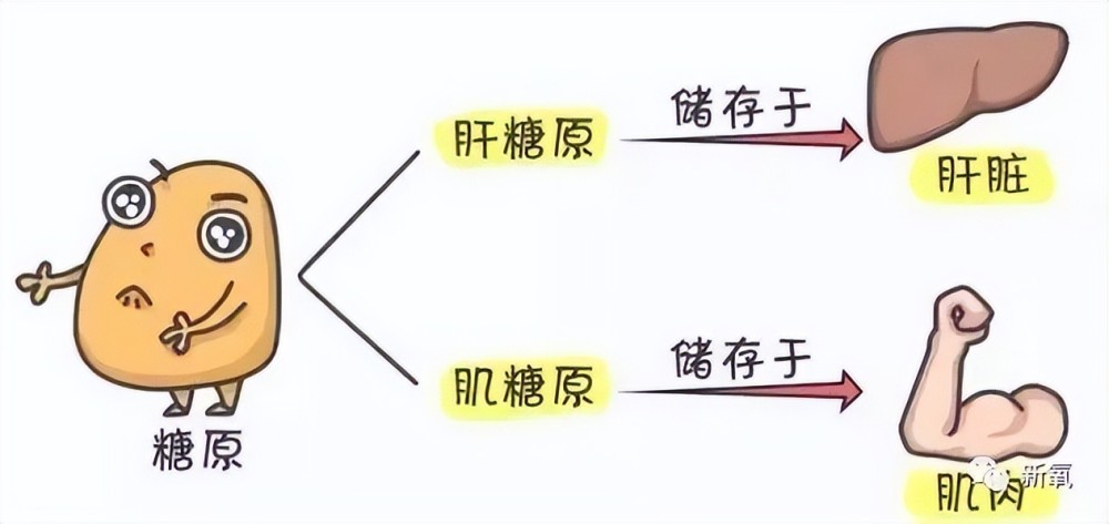 姐妹早茶铺｜不想当皇后的夏冬春不是颖儿《茶山樱红披云纱》陈秀容它就是云南大理地区的无量山樱花谷臭豆腐犹入仙境