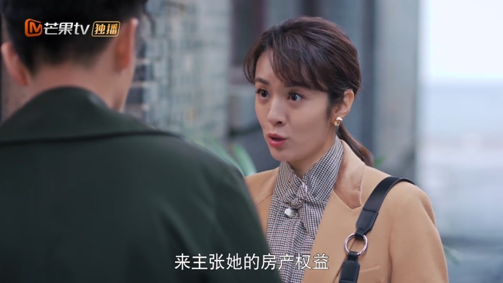 談踐大使出席荷蘭花車巡游開幕式女人回歸職場沒有機會
