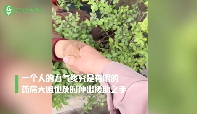 图片关键词