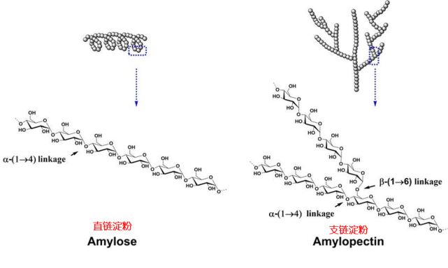 天然淀粉为无定形的结晶结构,由α-螺旋和β-折叠组成;而人工合成的