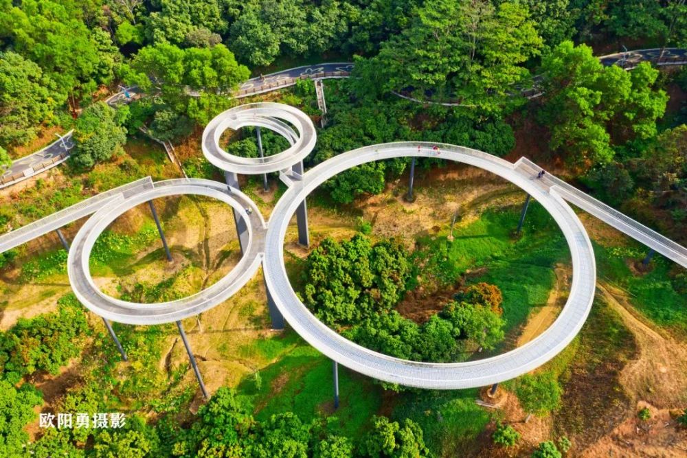 大顶岭绿道融合了山,湖,田,林等景观资源一路上绵延不绝的茂密山林