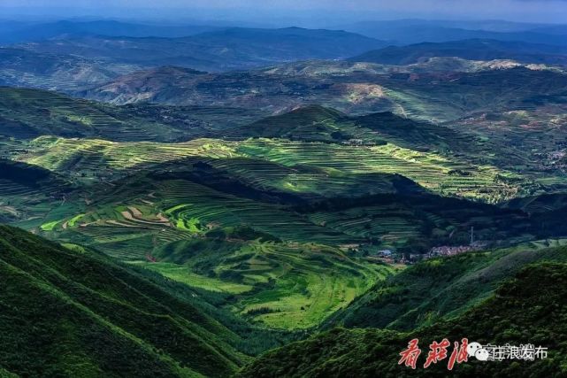 庄浪：推进生态治理 助力高质量发展