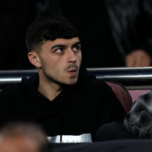 十分想念佩德里