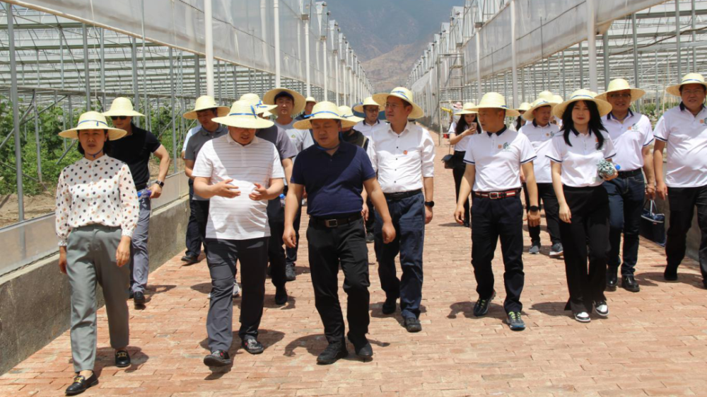 宾川高端网站建设的简单介绍