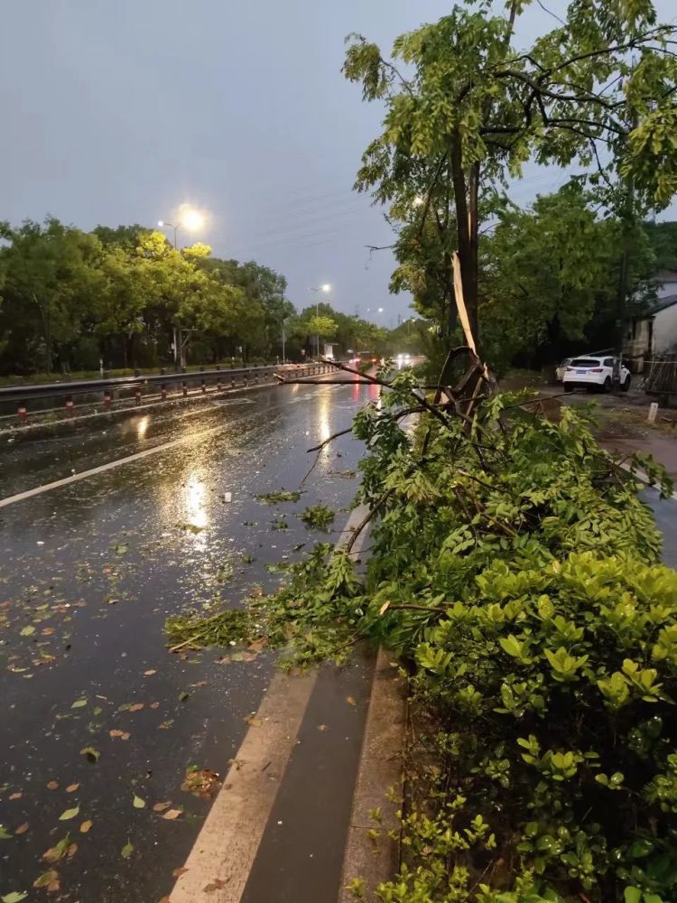 绍兴狂风暴雨突至!