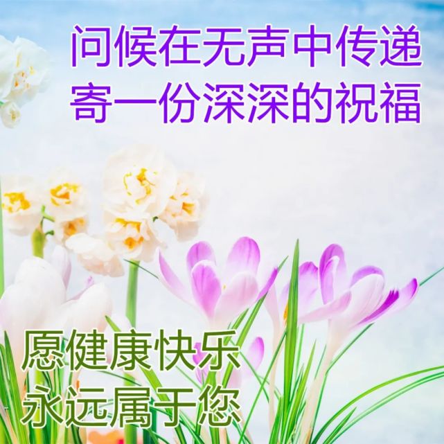 每日清晨温暖问候祝福图片加字 最美祝福早安心语图片