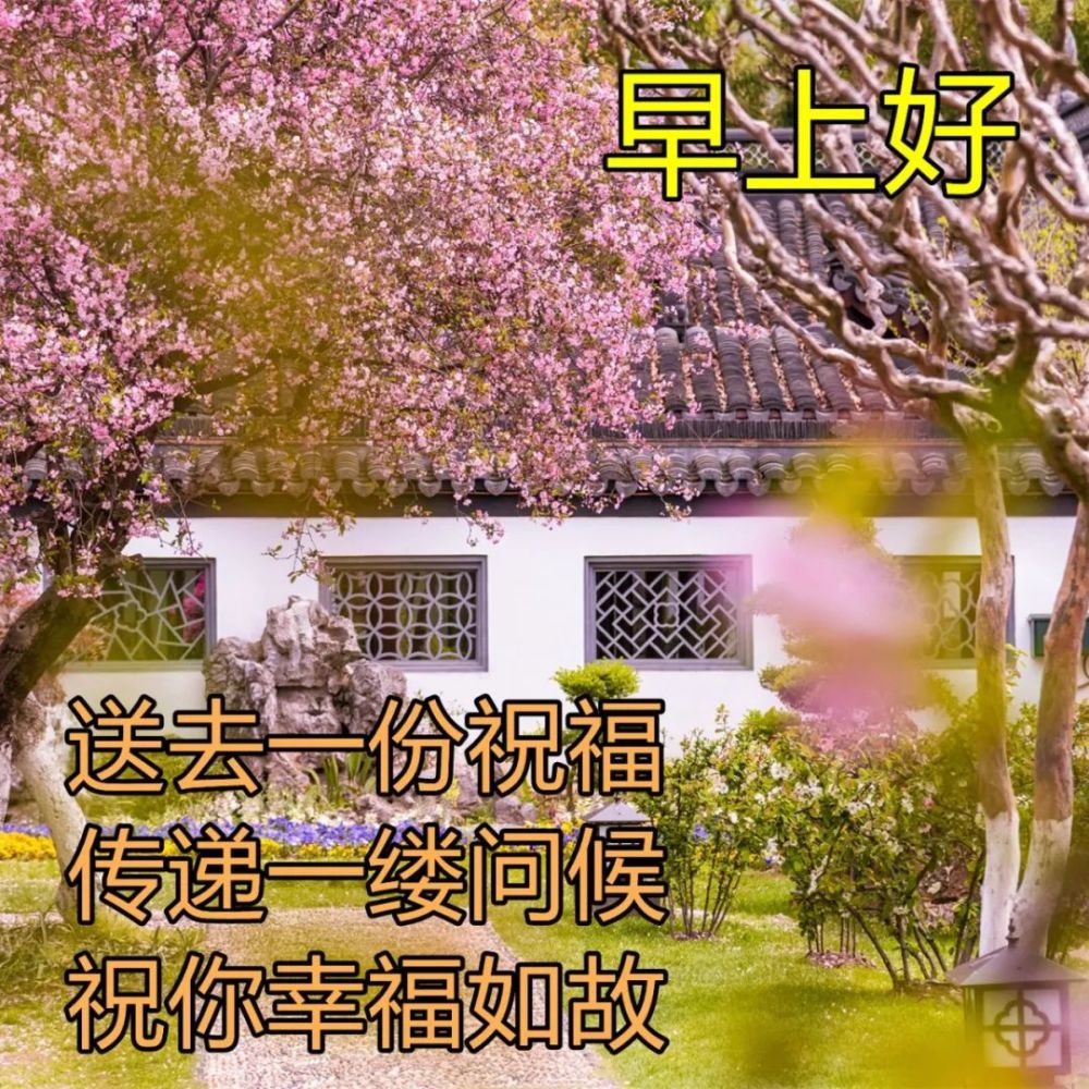 幸福美好的早上好問候圖片合集 好看又值得分享的早安祝福語_騰訊新聞