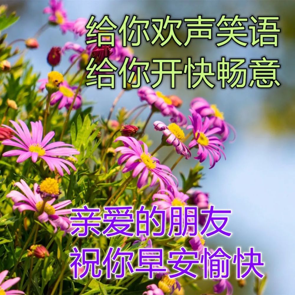 精致暖心的早安问候图片祝福亲人朋友早上好祝福图片加字