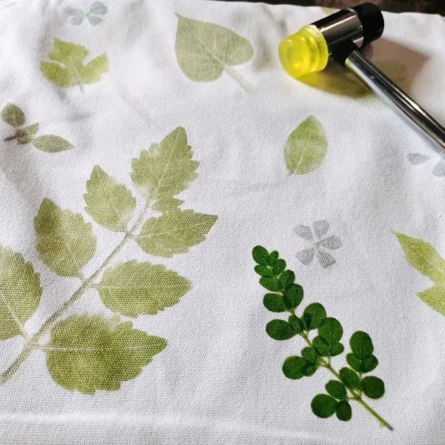 非遗植物拓染将自然镌刻在时光里