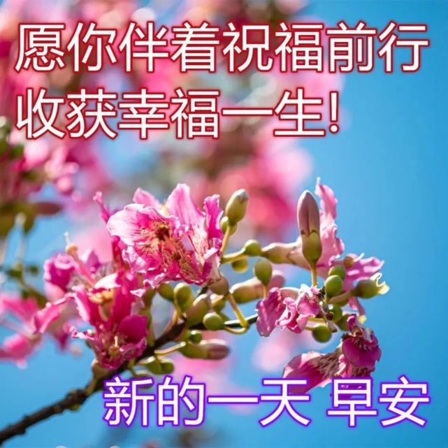 6,春风柔,春雨绵,春意盎然;春色美,春花艳,春满人间;春江绿,春波荡