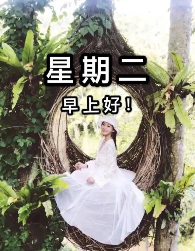 2022年4月26日星期二早安图片大全,周二早上好祝福语唯美问候图