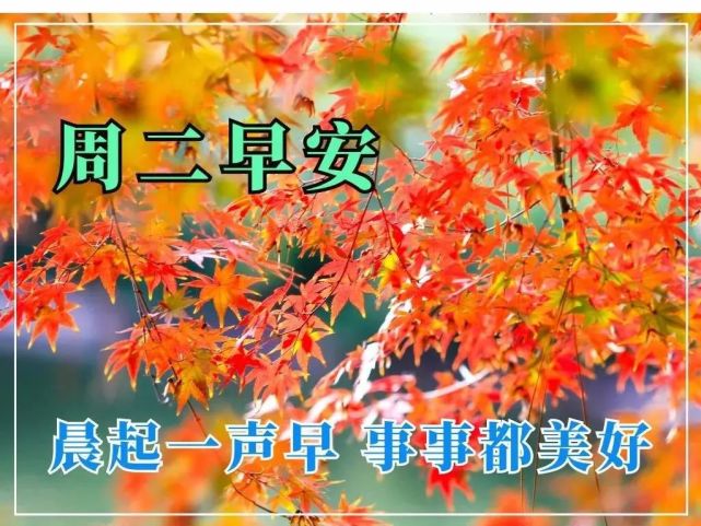 2022年4月26日星期二早上好唯美图片,周二早安祝福语带字问候图