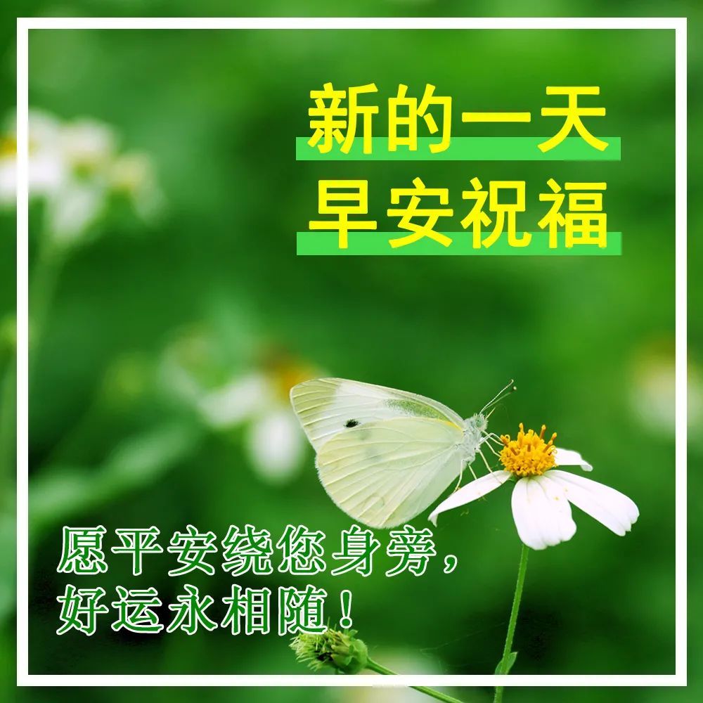 每日好看的早安祝福圖片合集,清晨問候語最新早安祝福圖片_騰訊新聞