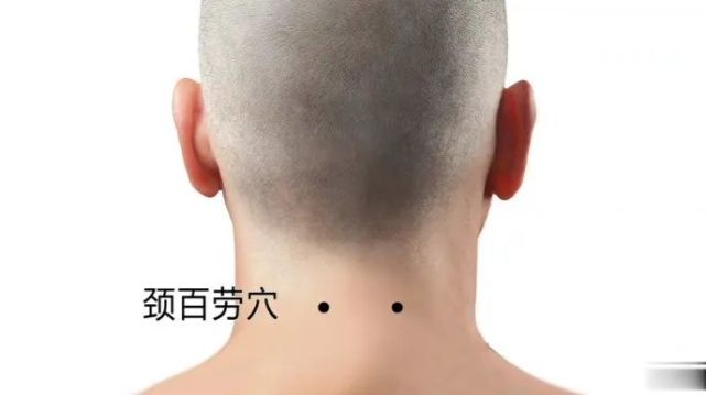 颈百劳:咳嗽,哮喘,肺结核,颈项强痛