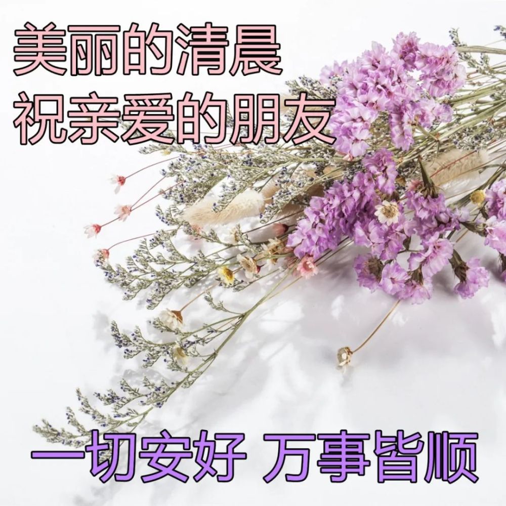 早上問候大家的暖心祝福圖片 每日最新早晨好問候圖片加字_騰訊新聞