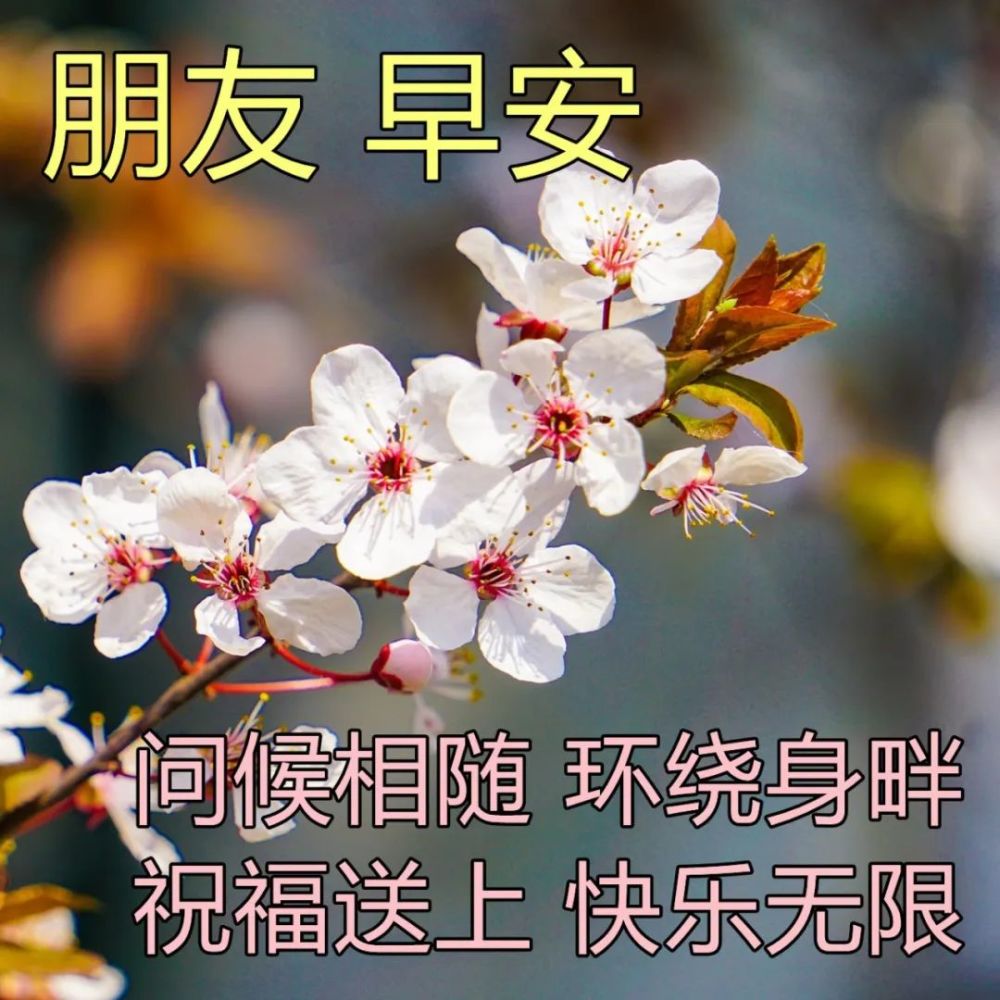 早上問候大家的暖心祝福圖片 每日最新早晨好問候圖片加字_騰訊新聞