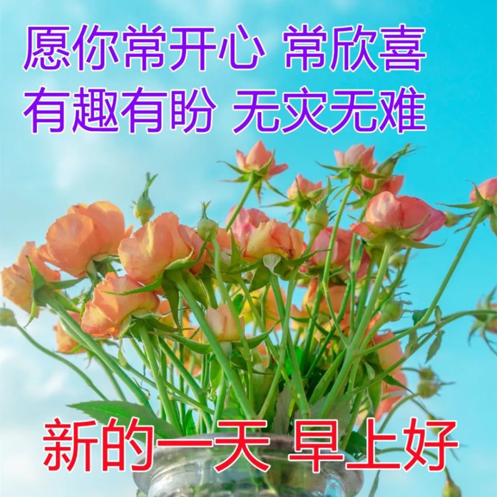 早上问候大家的暖心祝福图片 每日最新早晨好问候图片加字_腾讯新闻