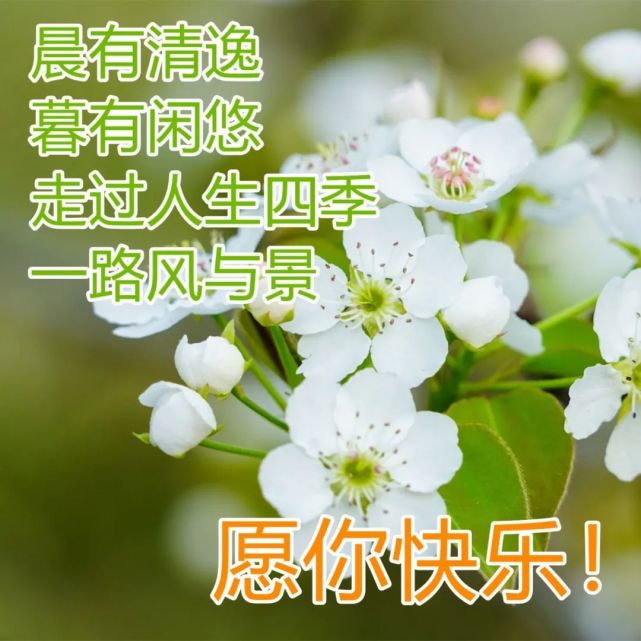 群友早安问候祝福图片大全 问候大家早上好的漂亮祝福图片加字