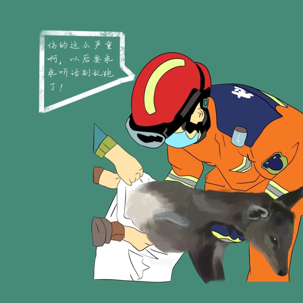 原来动物们这样求救