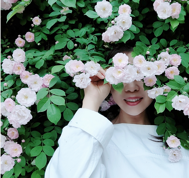 青未了 郭晓帆专栏 知夏蔷薇 郭晓帆 牡丹区 蔷薇 青未了