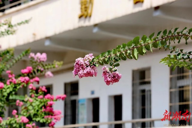 最美家乡推荐官之最美校园娄底二中最美校园四月天