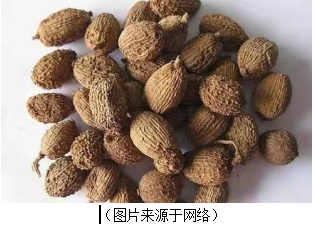 十人九胃中醫藥膳吃起來廣東廣州深圳中醫經絡推拿中醫