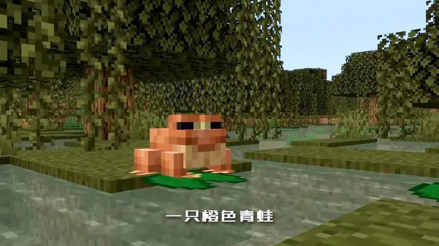 我的世界 关于 青蛙 你需要知道的一切内容 天天看点
