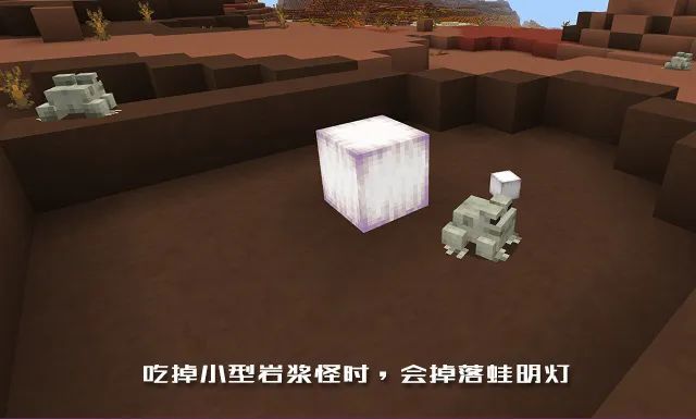 我的世界 关于 青蛙 你需要知道的一切内容 天天看点