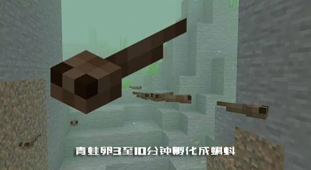 我的世界 关于 青蛙 你需要知道的一切内容 天天看点