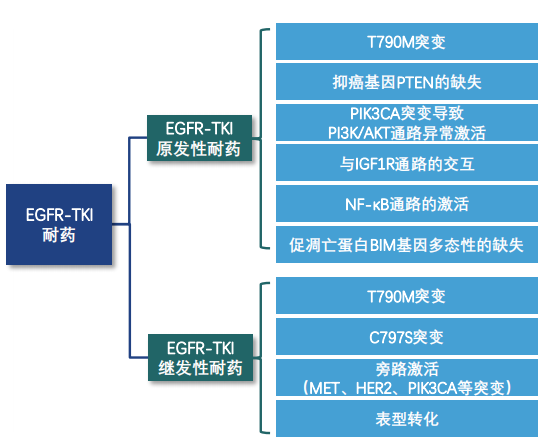 国肺癌靶向治疗:egfr靶点分析!可显著提高患者生存期