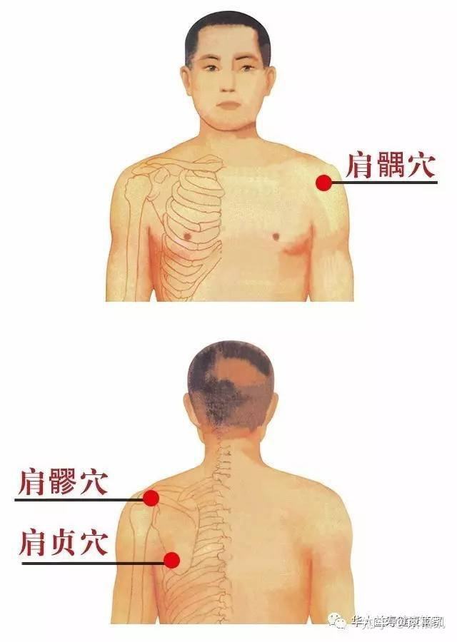 一针见效的针灸穴位之肩髃穴治疗肩膀发凉的名医医案